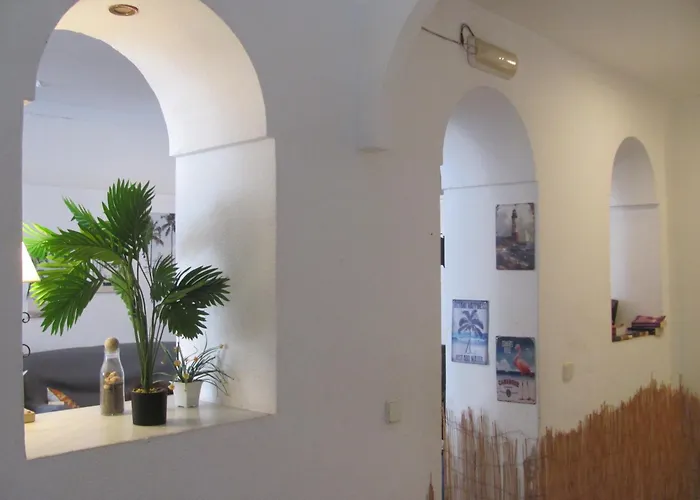 Hostel Terraza Del Limonar Málaga